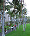 Walking the Course