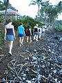 Walking the Course