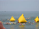 Race